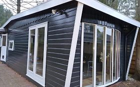 Modern Chalet Met Tuin Nabij Het Bos In Putten